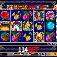 114bet Rio de Janeiro - Professional Dealers
